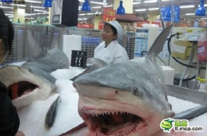 These Are The Things You Will Only Find At A Chinese Walmart (34 pics)