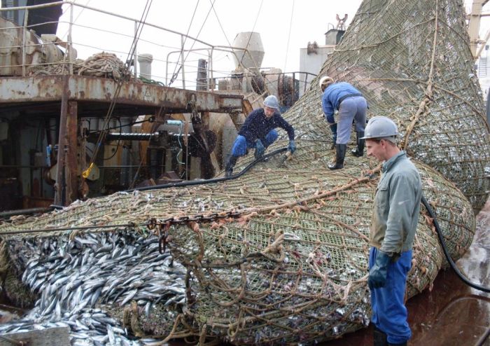 Fishermen Did Not See That Coming (8 pics)