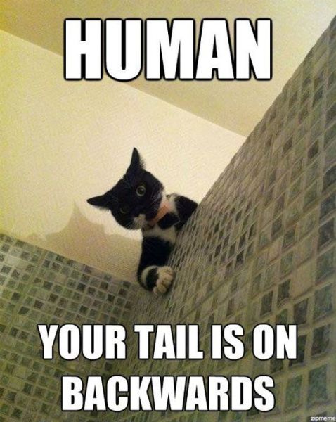 Acid Picdump (119 pics)