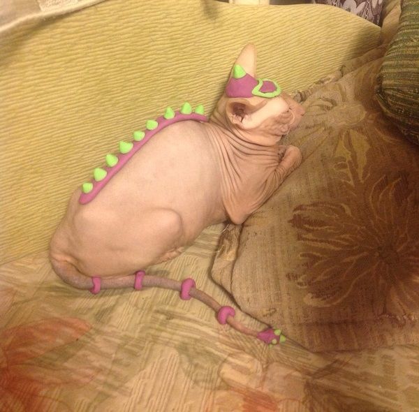 Acid Picdump (119 pics)