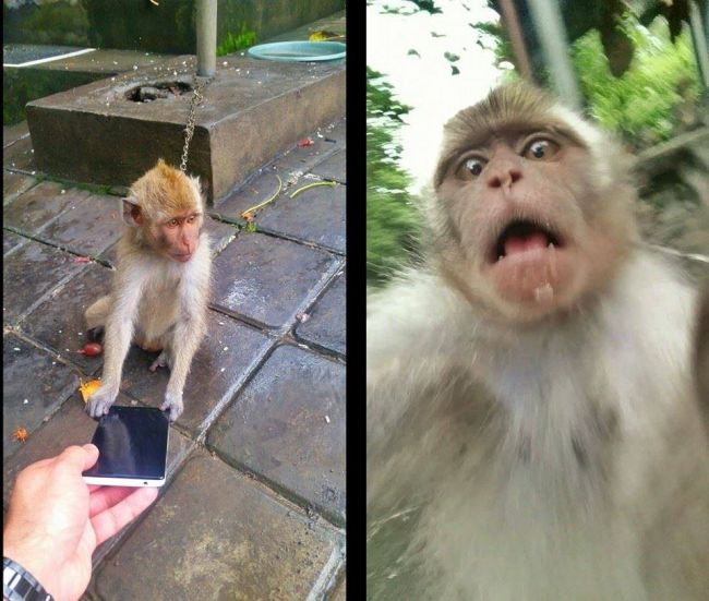 Acid Picdump (119 pics)