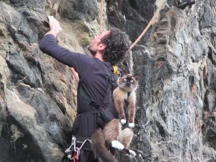Acid Picdump (119 pics)