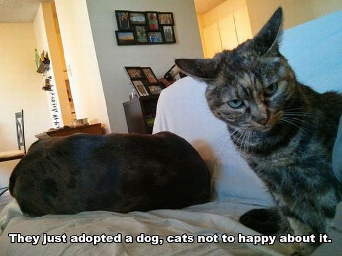 Acid Picdump (119 pics)