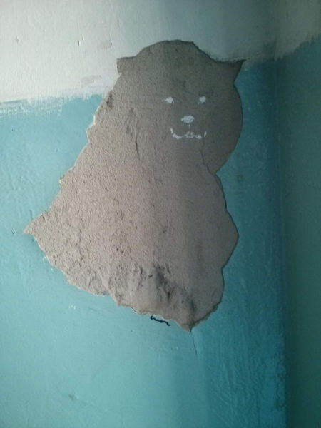 Acid Picdump (119 pics)