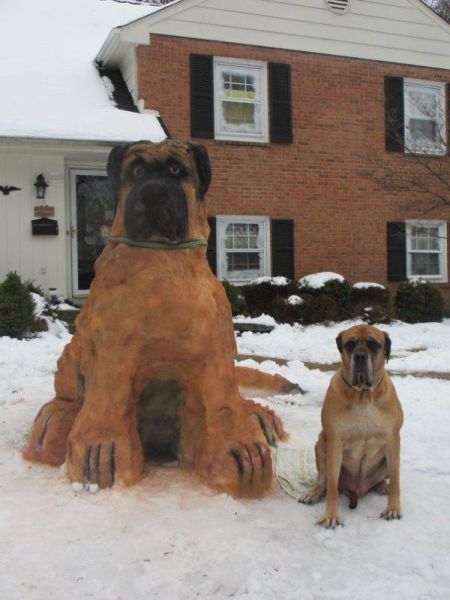 Acid Picdump (119 pics)