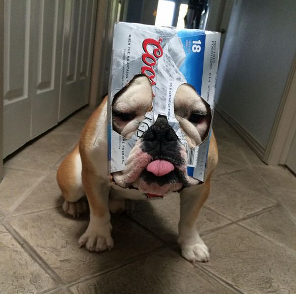 Acid Picdump (119 pics)