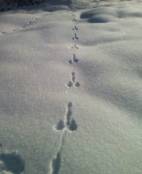 Acid Picdump (119 pics)