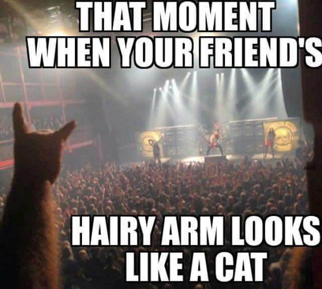 Acid Picdump (119 pics)