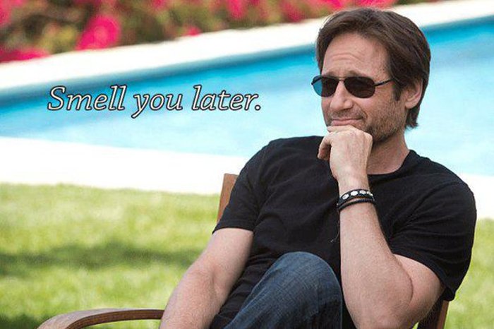 These Quotes Will Make You Miss Hank Moody And Californication (24 pics)