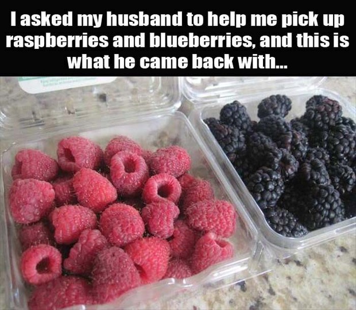 This Is Husband Logic At Its Finest (14 pics)