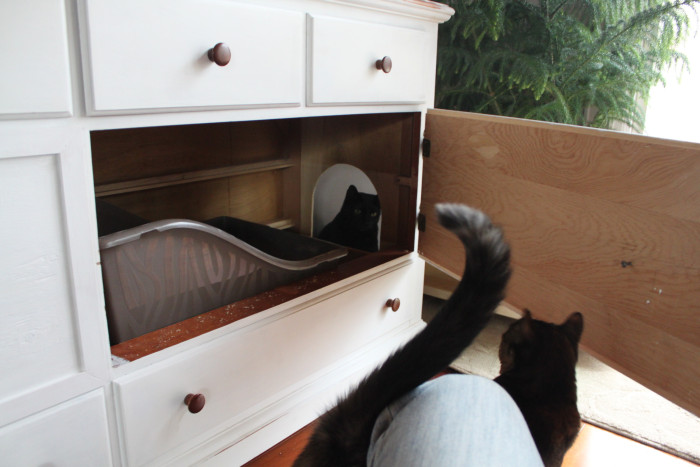 The Perfect Way To Hide Your Cat's Litter Box (16 pics)