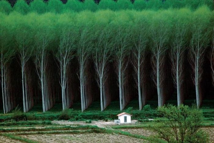 Acid Picdump (116 pics)
