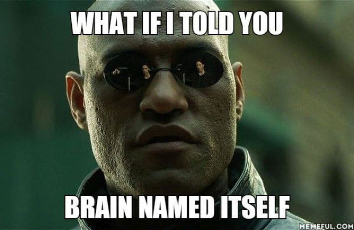 Acid Picdump (116 pics)