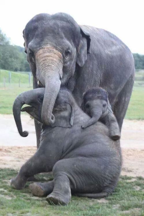 Acid Picdump (116 pics)