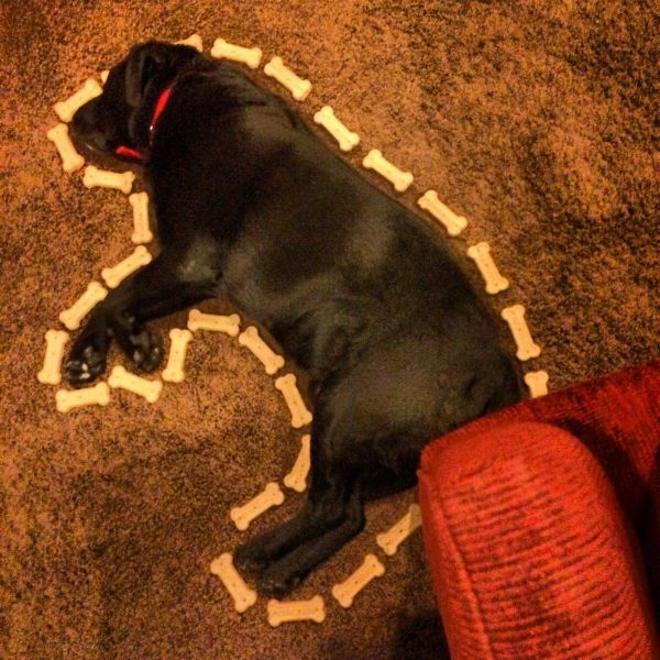 Acid Picdump (116 pics)