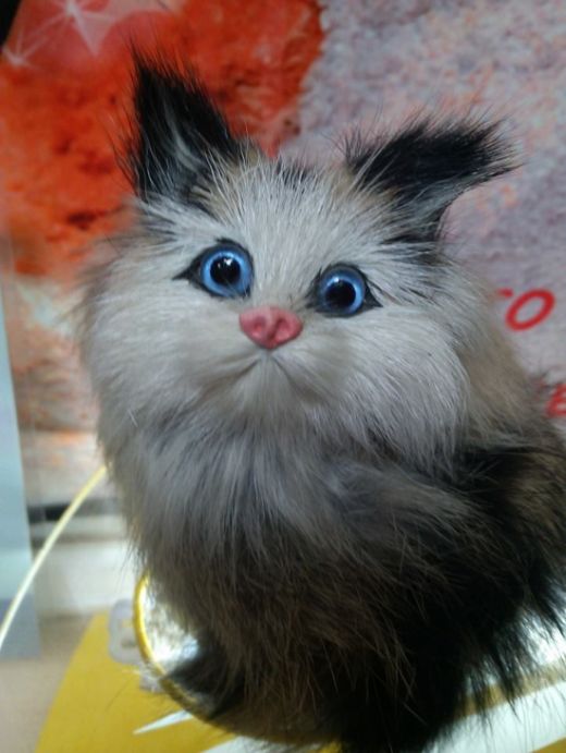 Acid Picdump (116 pics)