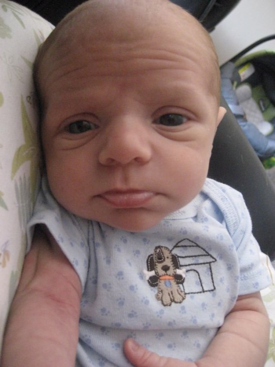 These Babies Just Look Like Really Small Old People (18 pics)