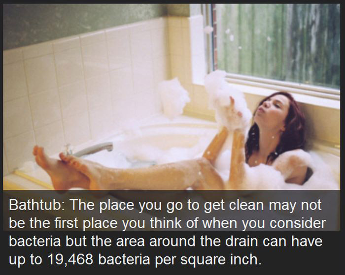 Yes It's True, These Everyday Things Are Dirtier Than Your Toilet (23 pics)
