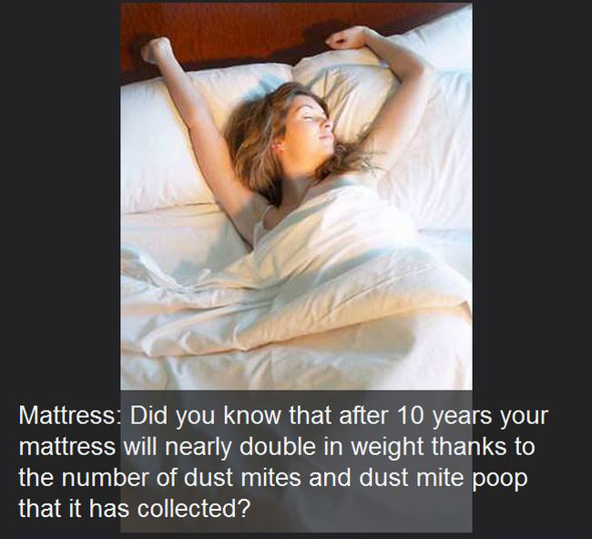 Yes It's True, These Everyday Things Are Dirtier Than Your Toilet (23 pics)