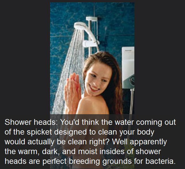 Yes It's True, These Everyday Things Are Dirtier Than Your Toilet (23 pics)