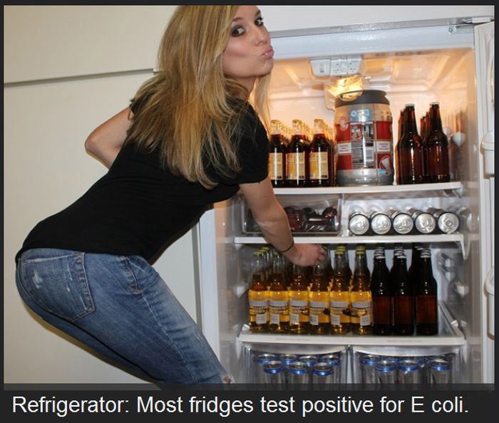 Yes It's True, These Everyday Things Are Dirtier Than Your Toilet (23 pics)