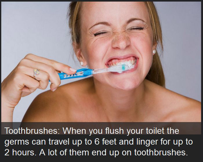 Yes It's True, These Everyday Things Are Dirtier Than Your Toilet (23 pics)