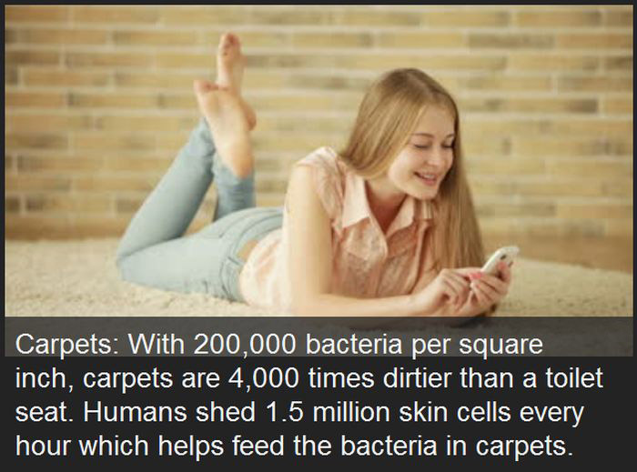 Yes It's True, These Everyday Things Are Dirtier Than Your Toilet (23 pics)