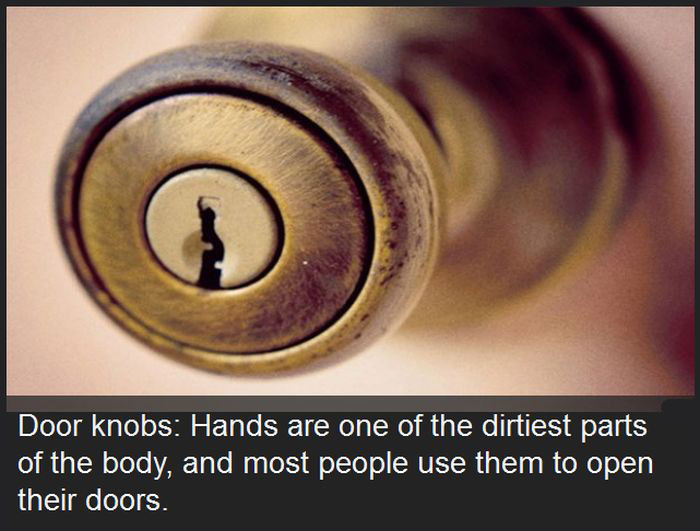 Yes It's True, These Everyday Things Are Dirtier Than Your Toilet (23 pics)