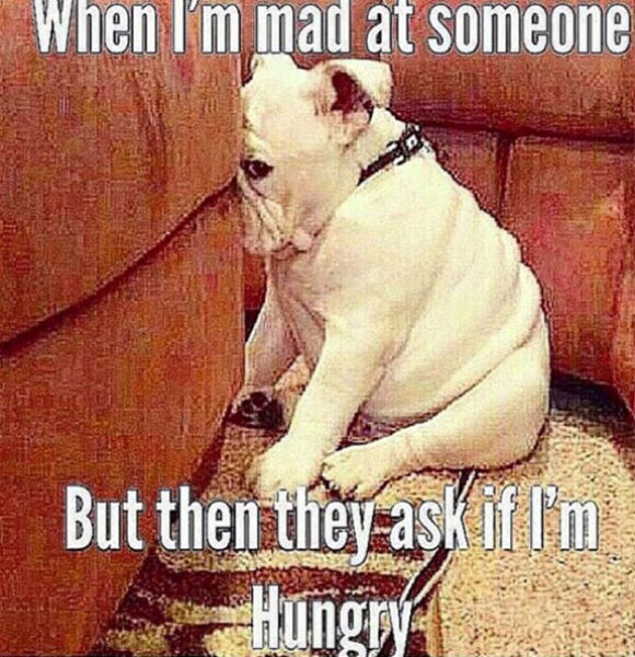 Life Lessons And Events That We Can All Relate To (56 pics)