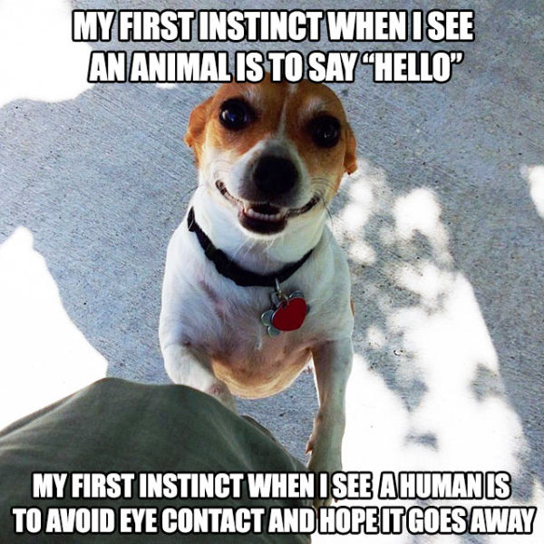 Life Lessons And Events That We Can All Relate To (56 pics)