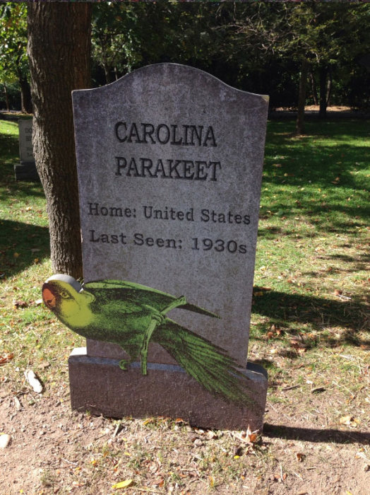 This New York Graveyard Is Dedicated To Extinct Animals (10 pics)