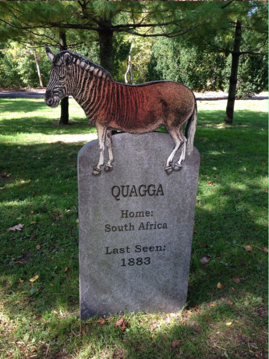 This New York Graveyard Is Dedicated To Extinct Animals (10 pics)