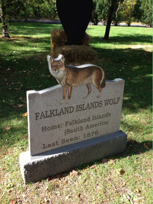 This New York Graveyard Is Dedicated To Extinct Animals (10 pics)