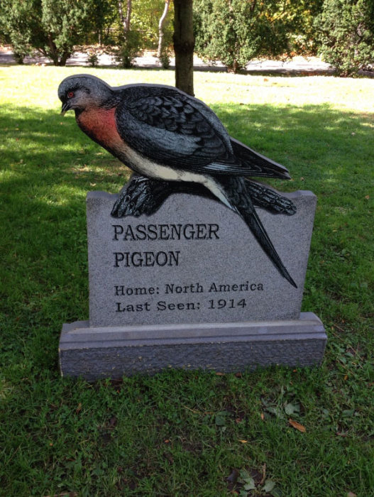 This New York Graveyard Is Dedicated To Extinct Animals (10 pics)