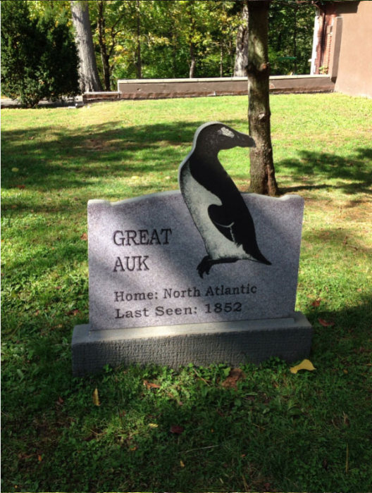 This New York Graveyard Is Dedicated To Extinct Animals (10 pics)