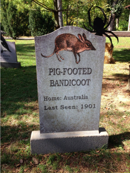 This New York Graveyard Is Dedicated To Extinct Animals (10 pics)