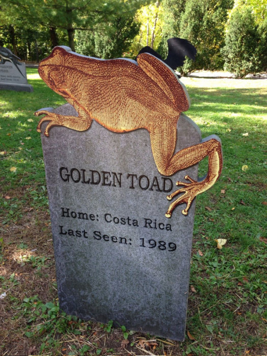 This New York Graveyard Is Dedicated To Extinct Animals (10 pics)