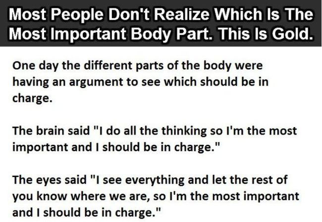 Most People Don't Know Which Is The Most Important Body Part (3 pics)