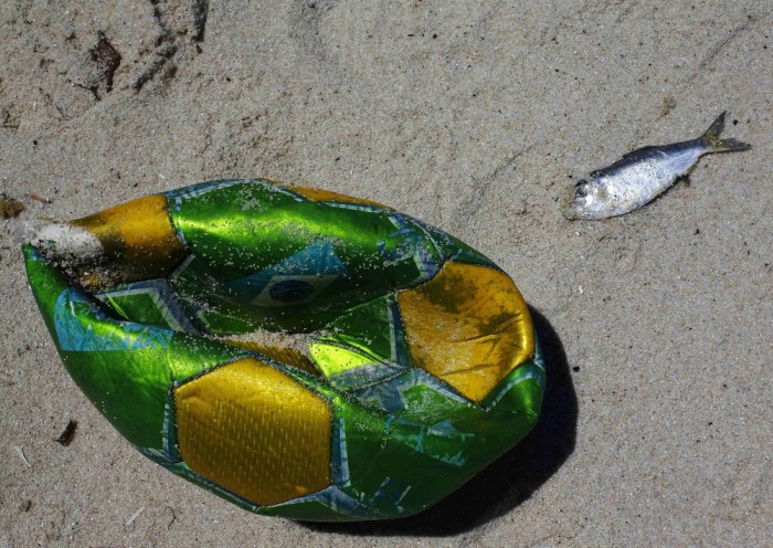 Mysterious Dead Fish On The Shore Of Rio de Janeiro (11 pics)