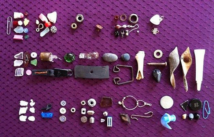 Young Girl Receives Gifts From The Crows She Feeds (6 pics)