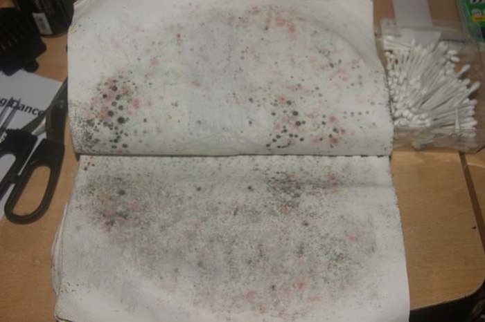 The Most Disturbing Thing You Could Find In A Graveyard (17 pics)