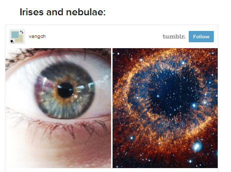 These 19 Beautiful Images Compare The Body And The Universe (19 pics)