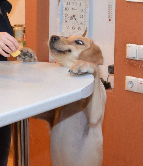 Acid Picdump (102 pics)