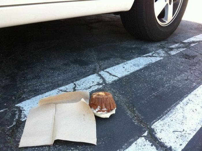 The Definition of a Bad Day (55 pics)