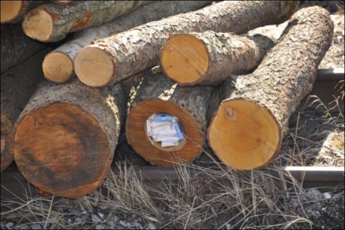 Busted For Cigarette Smuggling (11 pics)