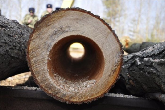 Busted For Cigarette Smuggling (11 pics)