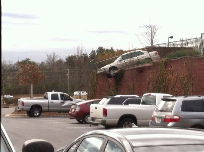 Acid Picdump (132 pics)