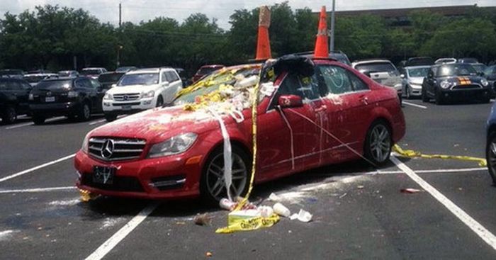 Acid Picdump (132 pics)