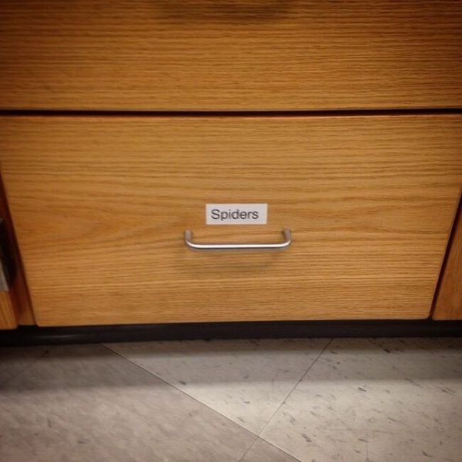 Acid Picdump (132 pics)