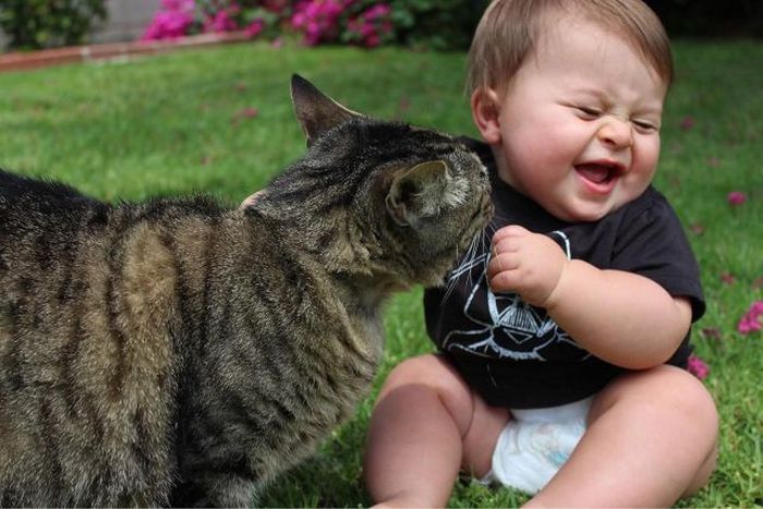 Photos Of Cats Having Way Too Much Fun (98 pics)